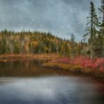 探索至尊国际平台的独特魅力与用户体验 284ao0x6z