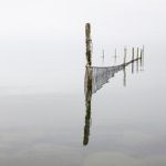 银河平台的优势与未来发展趋势深度解析 b0n8i8g8o