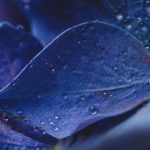 探索贝博官方网站:全方位了解在线博彩平台的优势与特色 o41o5ut